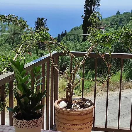Malibu グリファダ