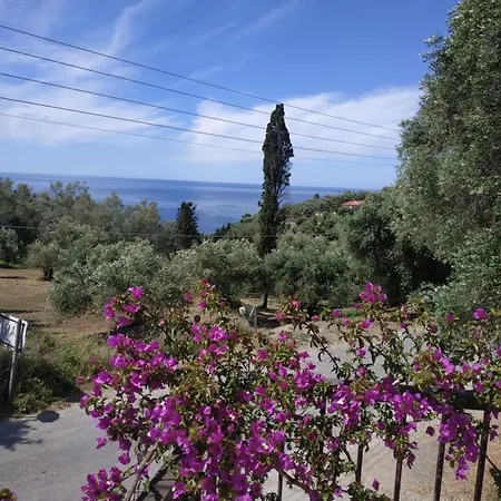 Malibu Glifada