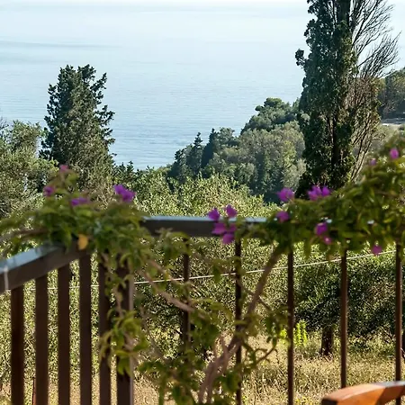 Malibu * غليفادا